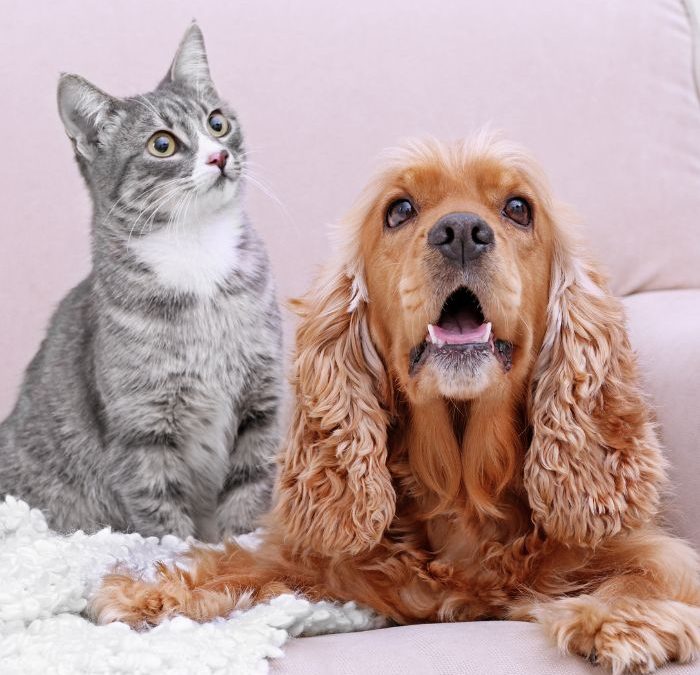 How Blogging Can Help Your Business